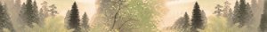 extracted_pic_1.jpg