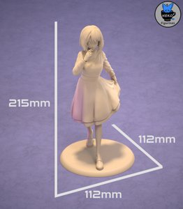 extracted_Measurements.png