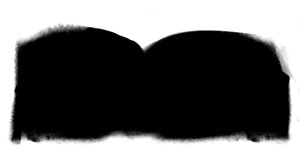 extracted_lobash_mask.jpg