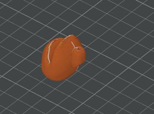 extracted_Plate 2.png