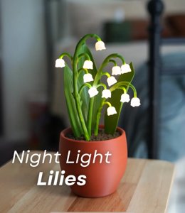 extracted_Night Light Lilies .png