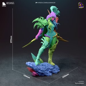 extracted_Valeera_dimensions.jpg