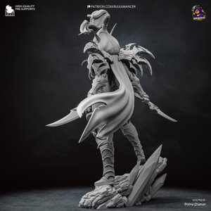 extracted_Valeera_grey (6).jpg