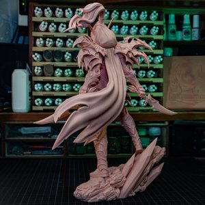 extracted_Valeera_print (3).JPG