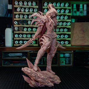 extracted_Valeera_print (5).JPG