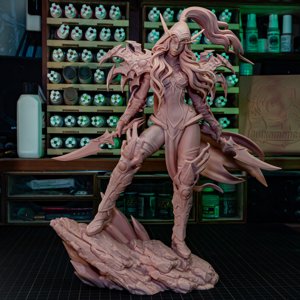 extracted_Valeera_print (1).JPG
