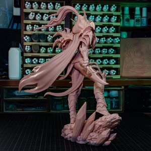extracted_Valeera_print (4).JPG