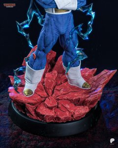 extracted_Vegeta_SSJ3_Tanuki_Figures_5.jpg