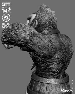 extracted_171225 Wicked - Donkey Kong BustP Image 015.jpg