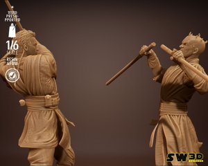 extracted_122923 - StarWars ObiWan vs DarthMaul Diorama Image 009.jpg