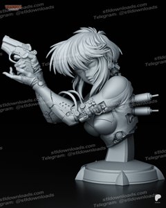 extracted_Motoko_Bust_TanukiFigures_01.jpg