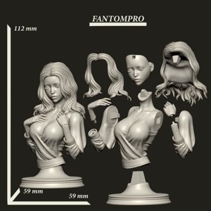 extracted_Ranni_bust_checklist.png