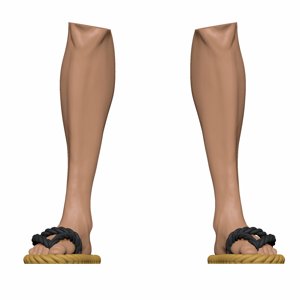 extracted_legs @Print3DWorld.jpg