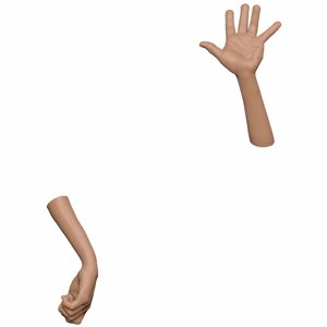 extracted_arm @Print3DWorld.jpg
