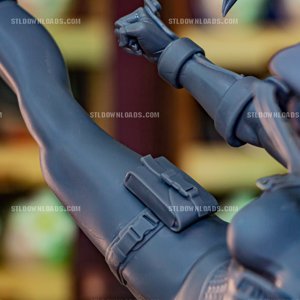 extracted_Cammy_print (8).JPG