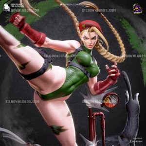 extracted_cammy_color (9)_1.jpg