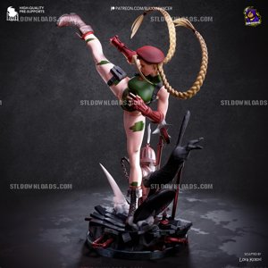 extracted_cammy_color (4)_2.jpg
