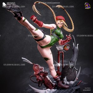 extracted_cammy_color (1)_2.jpg