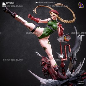 extracted_cammy_color (3)_2.jpg