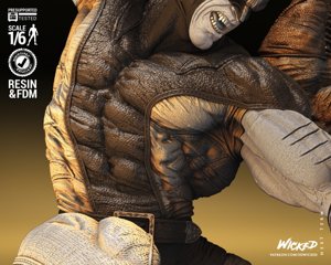 extracted_102023 Wicked - WolverinevsSbrethoot Diorama Image 018.jpg