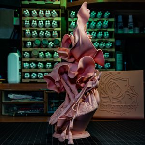extracted_test_print\Coco_print (2).JPG