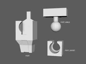 extracted_FOOT_INFO.png