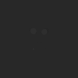 extracted_top_11.png