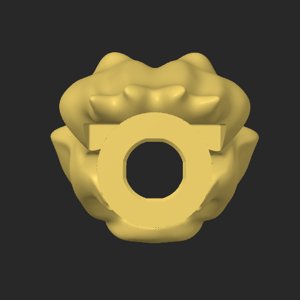 extracted_top_16.png
