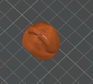 extracted_Plate 5.png
