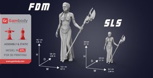 extracted_princess-leia-stw-13.png