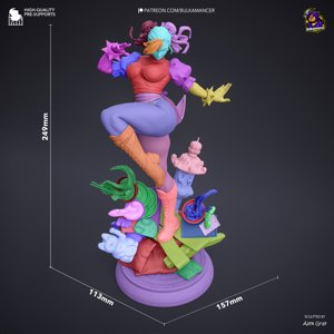 extracted_renders\Chun-li_dimensions.jpg