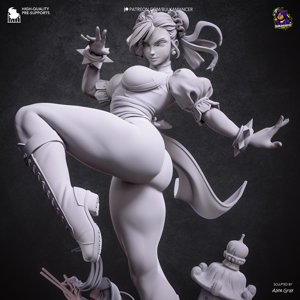 extracted_renders\Chun-li_grey (1).jpg