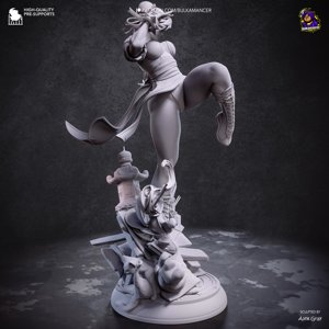 extracted_renders\Chun-li_grey (4)_2.jpg