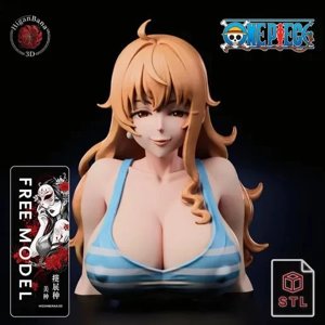 extracted_HIGANBANA_Nami_DeepCleavage_Bust_v1.webp