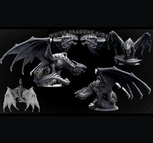 extracted_Adult White Dragon (pose 1 of 2) 2.jpg