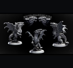 extracted_Young White Dragon (pose 1 of 2) 2.jpg