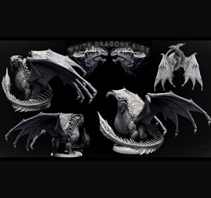 extracted_Adult White Dragon (pose 2 of 2) 2.jpg