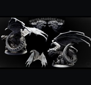 extracted_Adolescent White Dragon (pose 1 of 2) 2.jpg