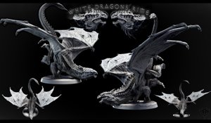 extracted_Adolescent White Dragon (pose 2 of 2) 1.jpg