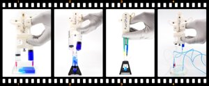 extracted_Figure2.png