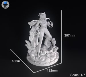extracted_Zani_Measurements.png