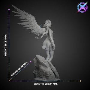 extracted_FRover Dimension 2.png