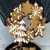 extracted_small_thumb_FNPSJVXK437CR7C.jpg
