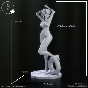 extracted_Lucy_Scale.png