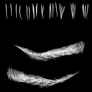 extracted_A.png