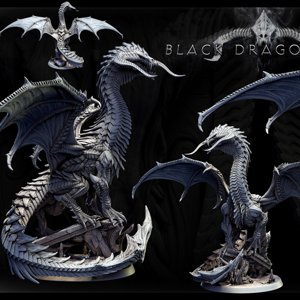 extracted_Adult Black Dragon (pose 2 of 2)1.jpg