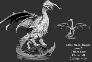 extracted_Adult Black Dragon (pose 2 of 2) Scale.jpg