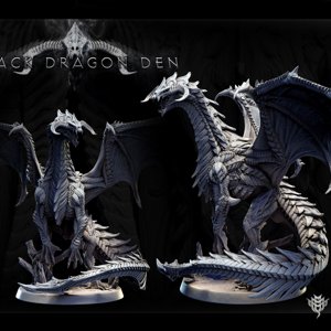 extracted_Adolescent Black Dragon (pose 2 of 2)1.jpg