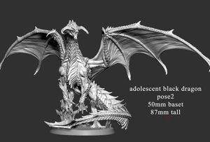 extracted_Adolescent Black Dragon (pose 2 of 2) Scale.jpg