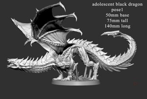 extracted_Adolescent Black Dragon (pose 1 of 2) Scale.jpg